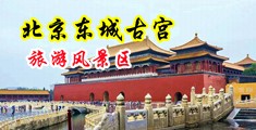 免费看干屄中国北京-东城古宫旅游风景区